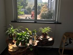-翠茗农庄土菜馆(天目湖店)