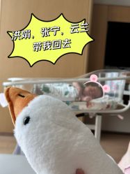 -金鹰国际月子中心(新街口店)
