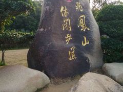 -飞凤山奥体公园