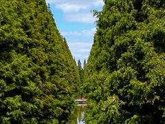 -黄海国家森林公园