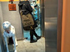 -我爱吾宠宠物美容院(朝阳路店)