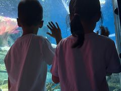 -海合安武汉极地海洋公园