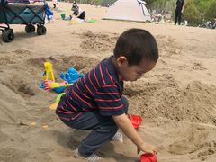 -东郊湿地公园