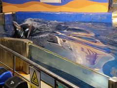 -太平洋海底世界