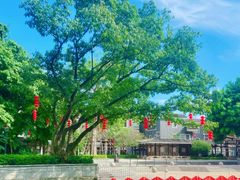 -东涌水乡风情街