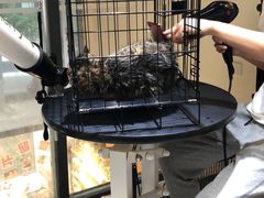 -帕帕拉兹宠物(亚洲旗舰店)