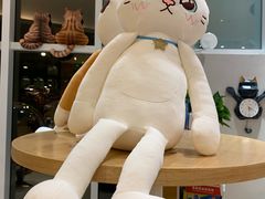 -飞行喵MR PILOT|猫舍·猫咖(静安大融城店)
