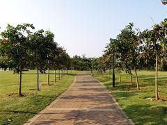 -白沙门生态公园