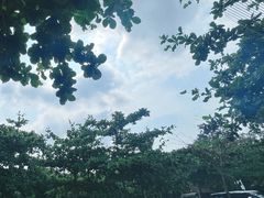 -深圳湾公园(南山区)