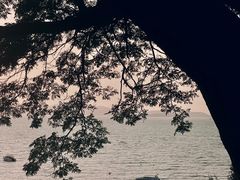 -网红落日悬崖餐厅 The Sky Gallery