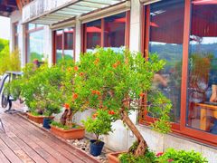 -湖畔居茶楼(湖滨店)