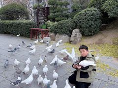-中国翰园碑林