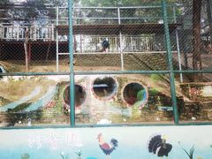 -北京鹿世界主题园