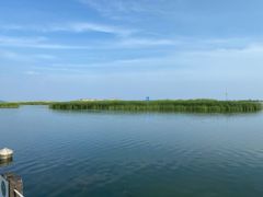 -太湖湖滨国家湿地公园-停车场