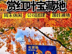 -沉浸北京·团建旅行·密室剧本杀·年会会议轰趴拓展