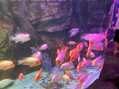 -泉城欧乐堡海洋极地世界