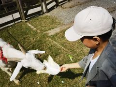 -前小桔亲子创意农场·草莓采摘·露营烧烤