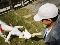 -前小桔亲子创意农场·草莓采摘·露营烧烤