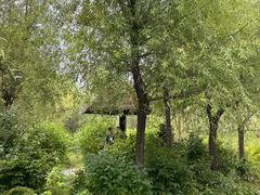 -呼兰河口湿地公园