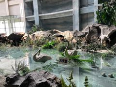 -吉林省自然博物馆
