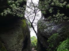 -冠豸山景区