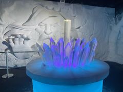 -海合安武汉极地海洋公园