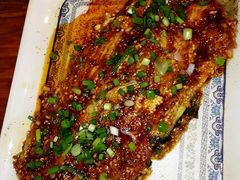 -CoCo都可(医学街店)