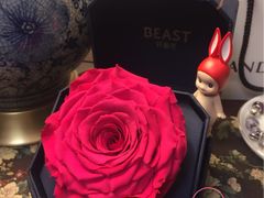 -BEAST野兽派(上海浦东嘉里城店)