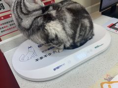 -御宝贝24h宠物医院·转诊中心·CT核磁血透中心(厦门总院)