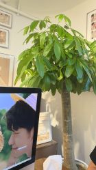 -蜜恋婚纱摄影·客片研发(苏州店)