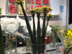 -溪岸路花鸟市场