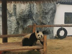 -杭州野生动物世界