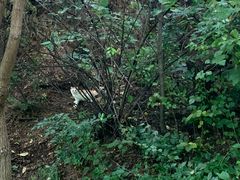-云峰山自然风景区