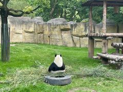 -上海野生动物园