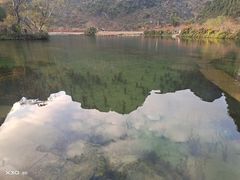 -靖西鹅泉风景区