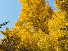 -狼山风景名胜区