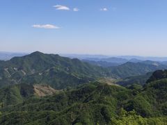 -六里坪国家森林公园