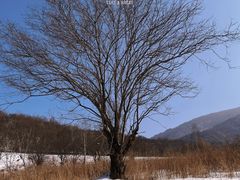 -鳌山滑雪度假区