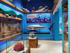 -多彩贵州城极地海洋世界