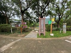 -东莞市大岭山森林公园