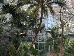 -北京植物园-展览温室