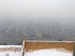 -兰山公园