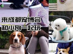 -成都世纪城新国际会展中心