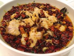 老虎斑沸腾鱼-茗鼎汇(星方汇广场店)