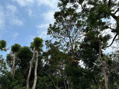 -三亚蜈支洲岛旅游区