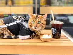 -星巴克(天津鲁能中心第三店)