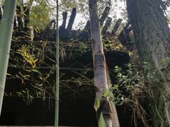 -九龙潭景区