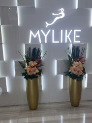 -深圳美莱医疗美容医院