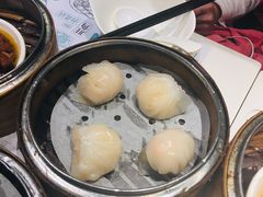 虾饺-点点心点心专门店(湾仔店)