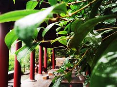 -西安华清御汤酒店